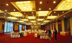 【酒店宴會廳】調光一級水晶燈具SSDZ058640